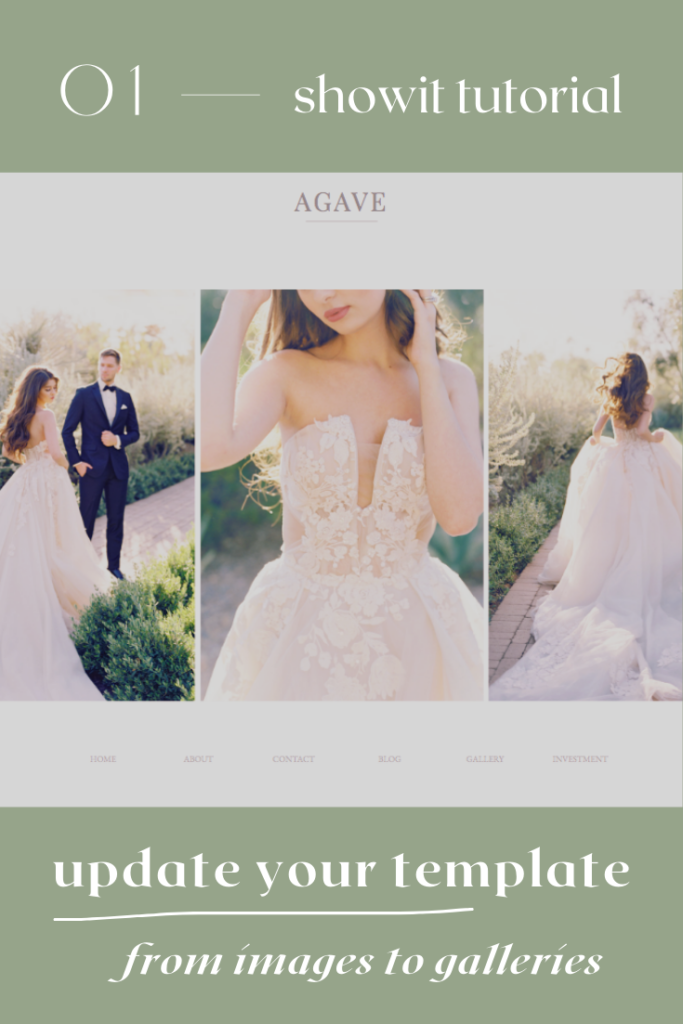 how to update your template from images to galleries in Showit Agave Template
