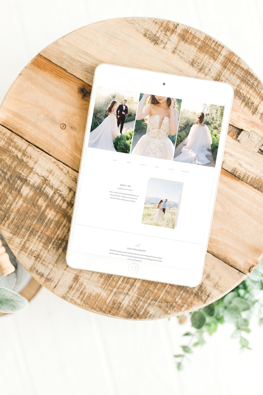 ace & whim agave website on ipad free google font pairings